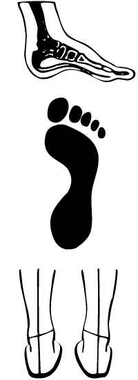 pisada neutra